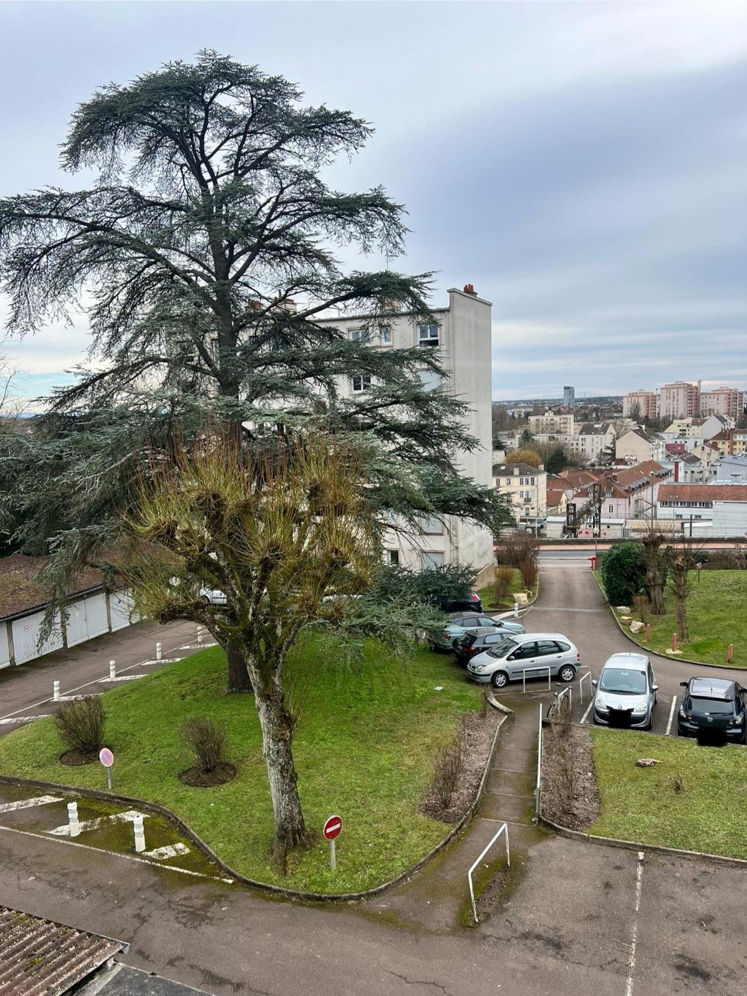 Appartement Le Bellevue - T3 - Gare & Les Jardins Darcy - Parking Free à Dijon Extérieur photo